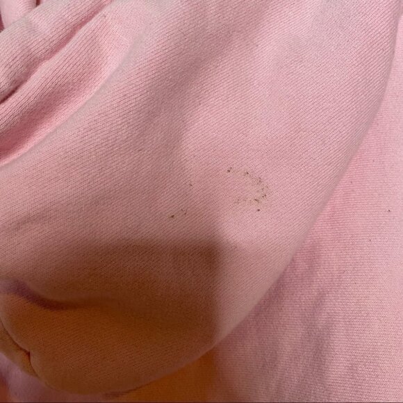 Champion Reverse Weave Baby Pink Pullover Hoodie Sweatshirt - Picture 6 of 8